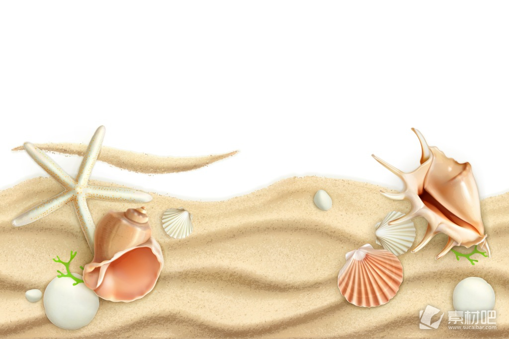沙滩海螺海星夏日海滩相关元素矢量图