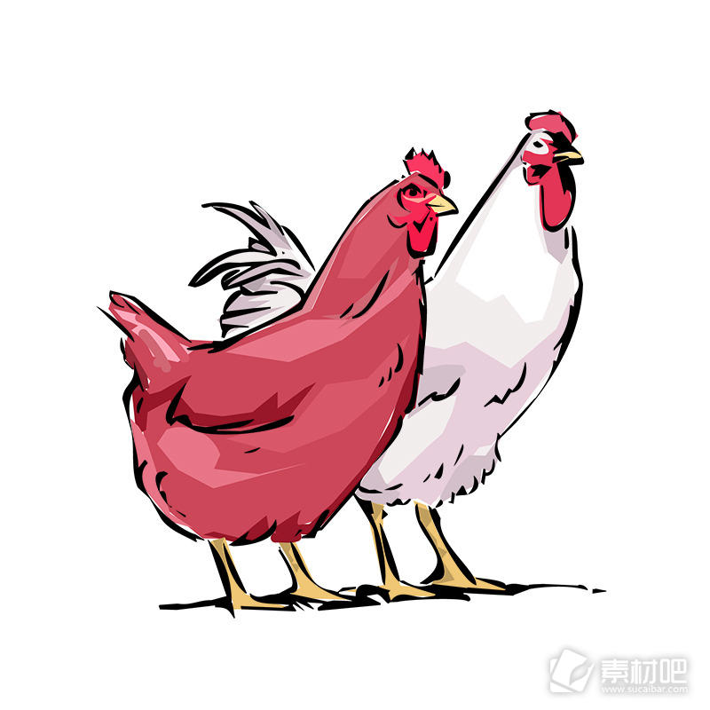 卡通矢量母鸡素材设计