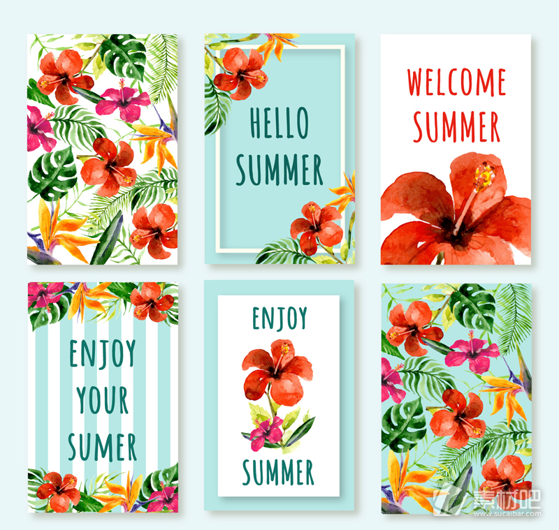 夏季热带花卉卡片矢量图