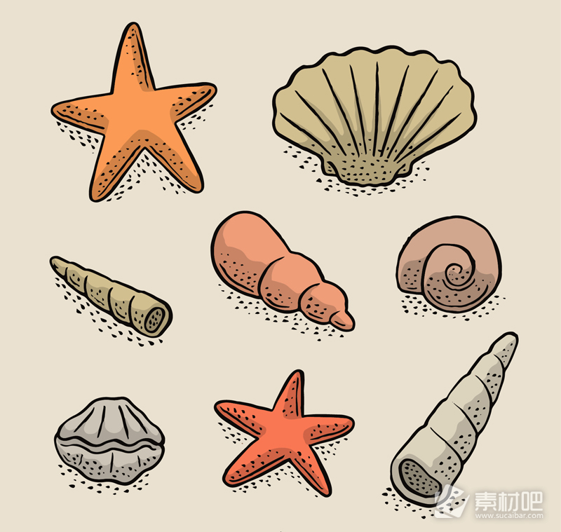 彩绘贝壳和海星矢量素材