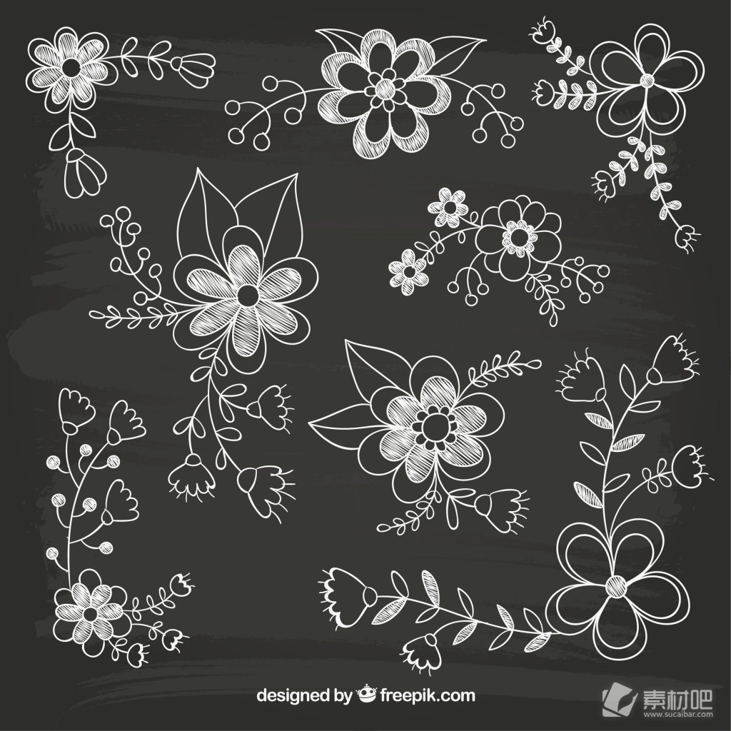 8款手绘花卉设计矢量图