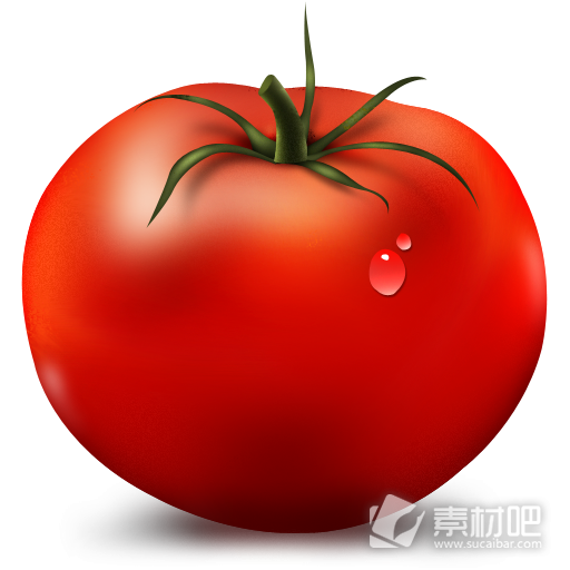 番茄免费图标