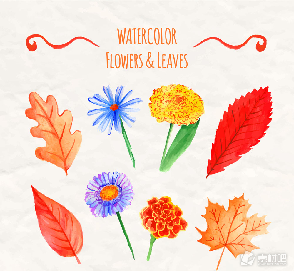 8款水彩绘鲜艳花卉和叶子矢量图