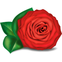 红色玫瑰花可爱电脑桌面图标下载