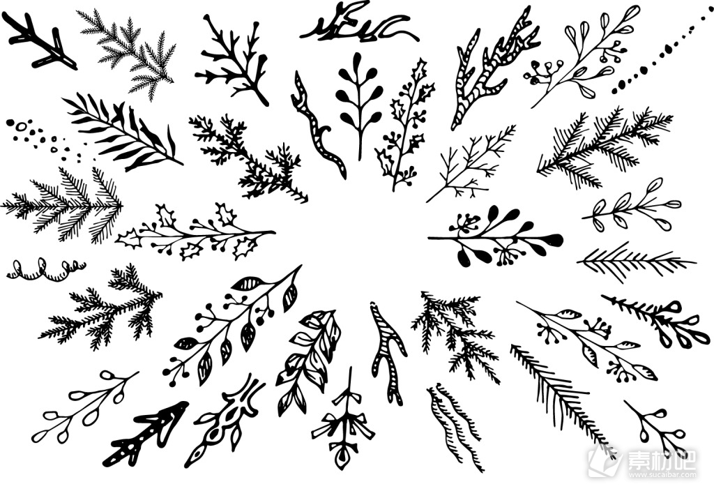 手绘植物图案 黑白手绘植物图案 素材吧