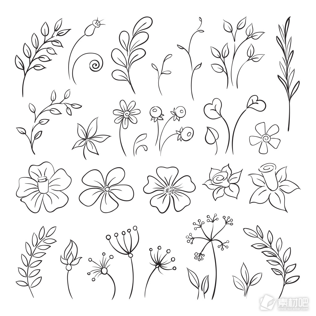 黑白手绘清新花朵植物图案