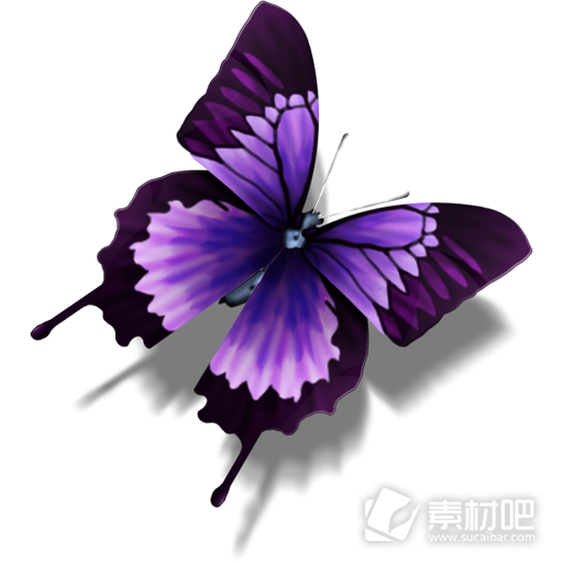 紫色美丽蝴蝶图标