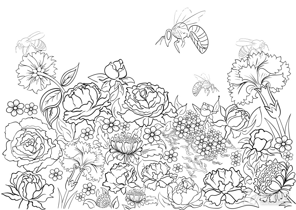 黑白手绘植物花朵图案