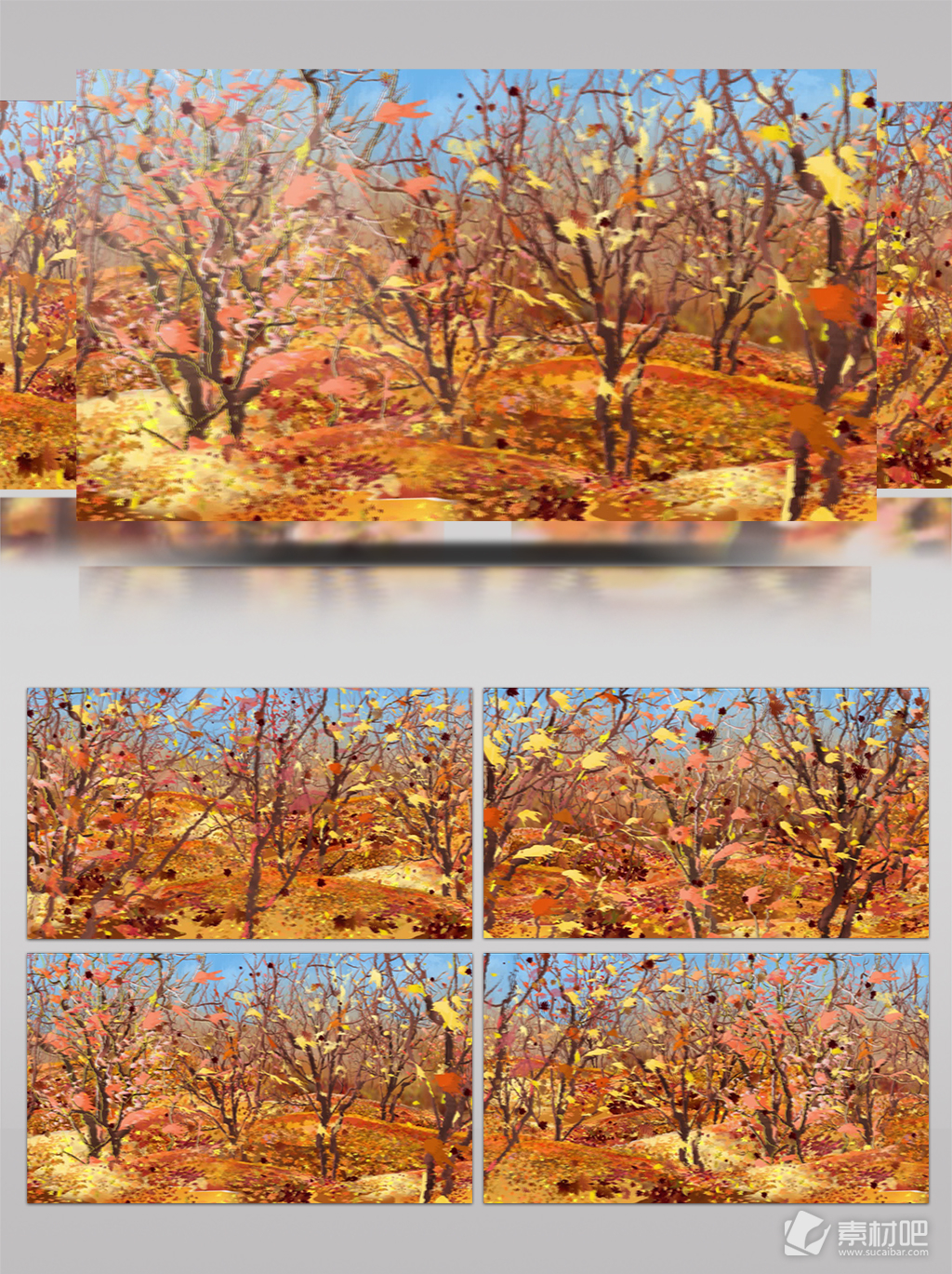 大树落叶风吹飘落秋天季节视频