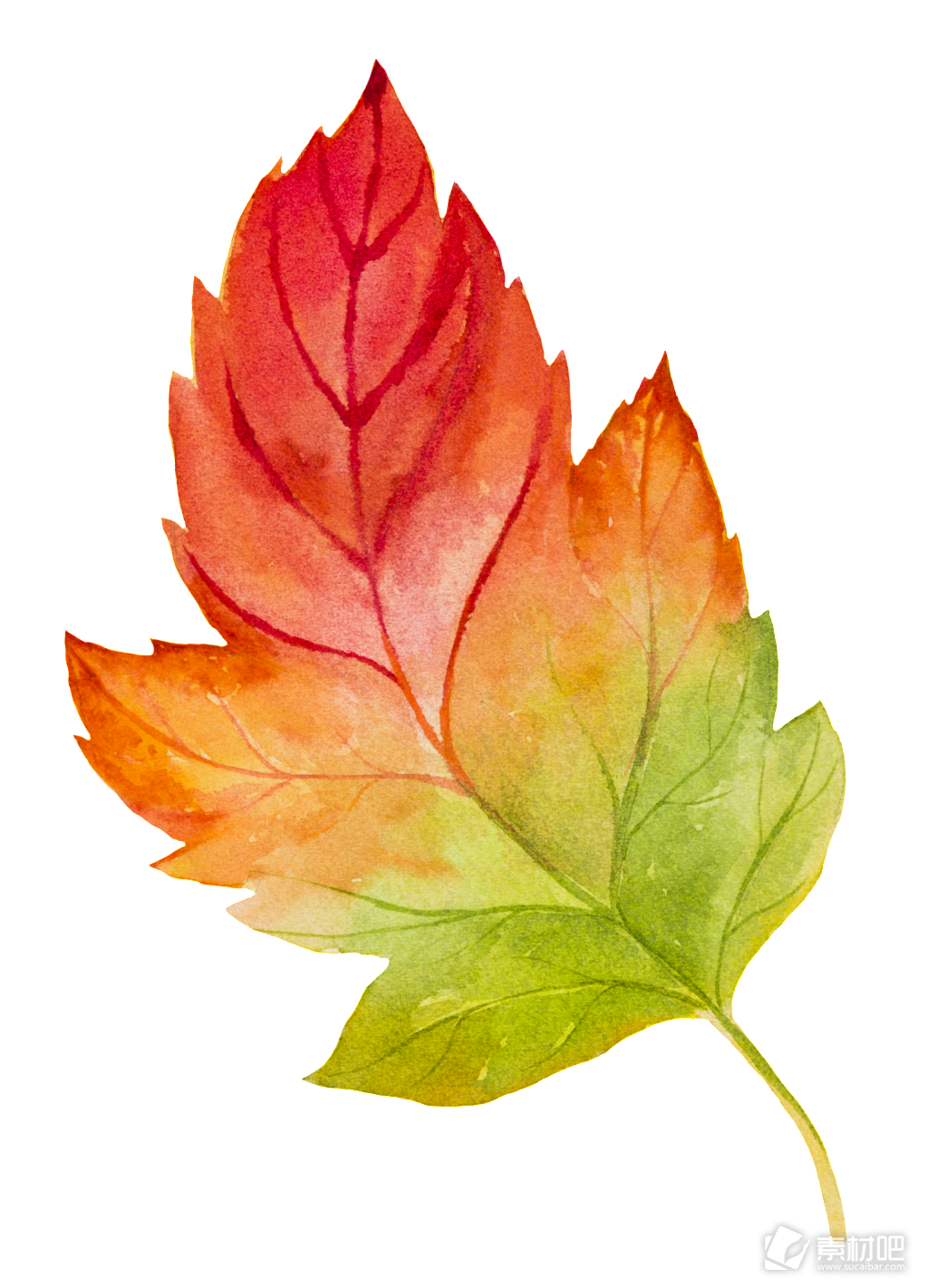 手绘水彩渐变的树叶矢量素材