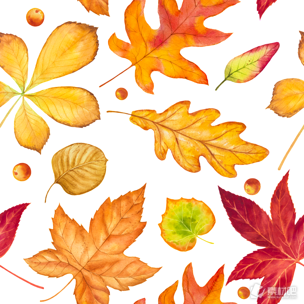 手绘秋季树叶落叶矢量素材