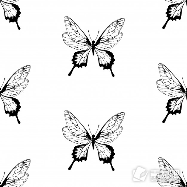 黑白蝴蝶剪影图案