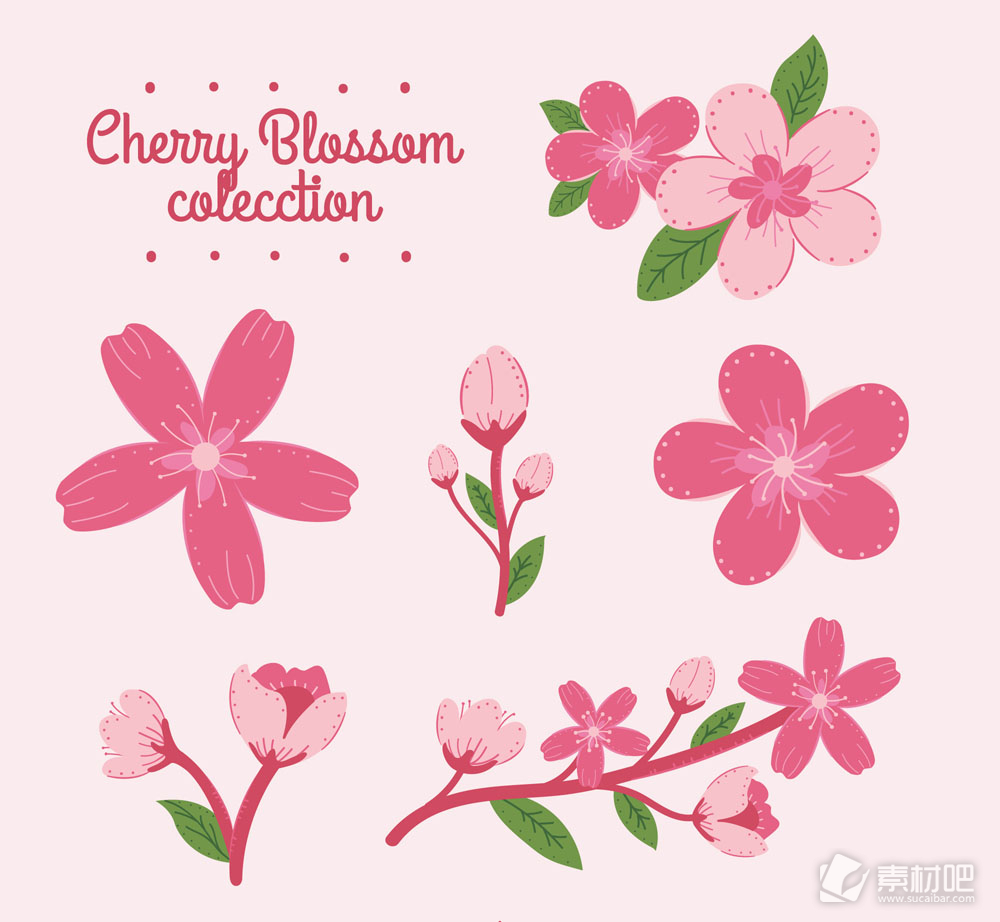 6款粉色樱花和花枝矢量素材