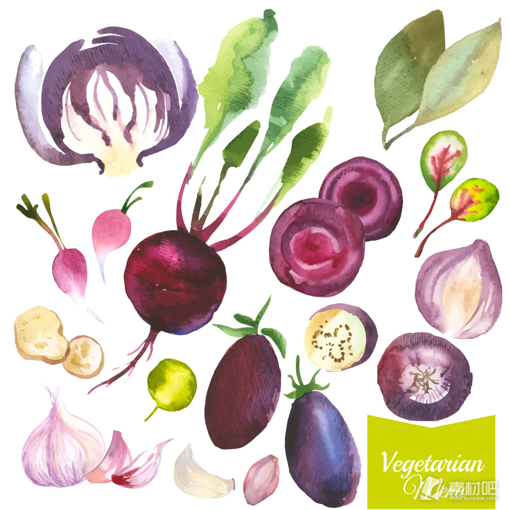 时尚手绘蔬菜插画