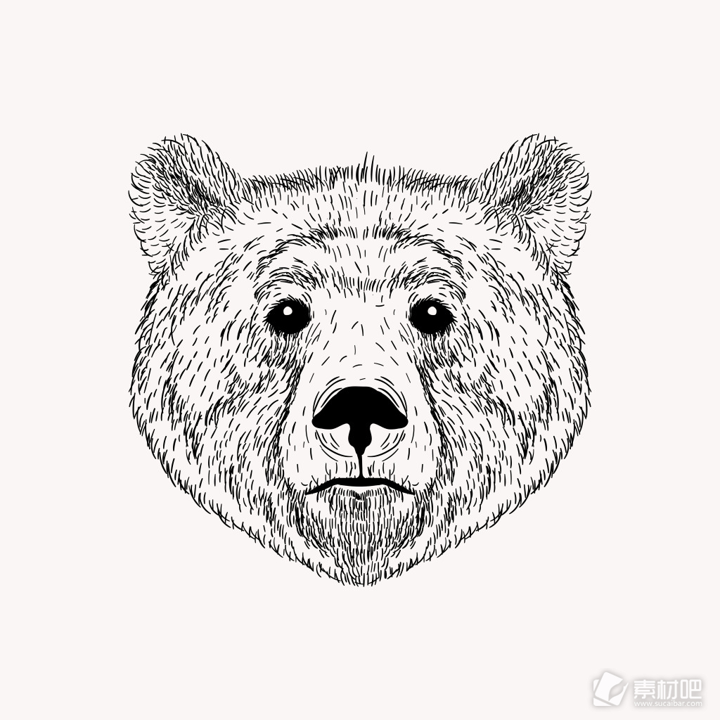 黑白手绘卡通熊头插画