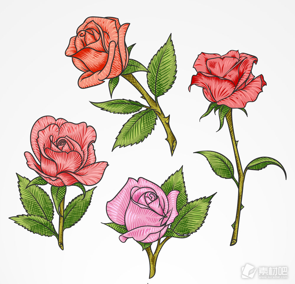 4款彩色单枝玫瑰花矢量素材