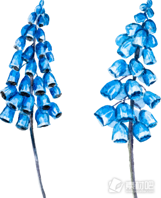 蓝色水彩绘花朵插画