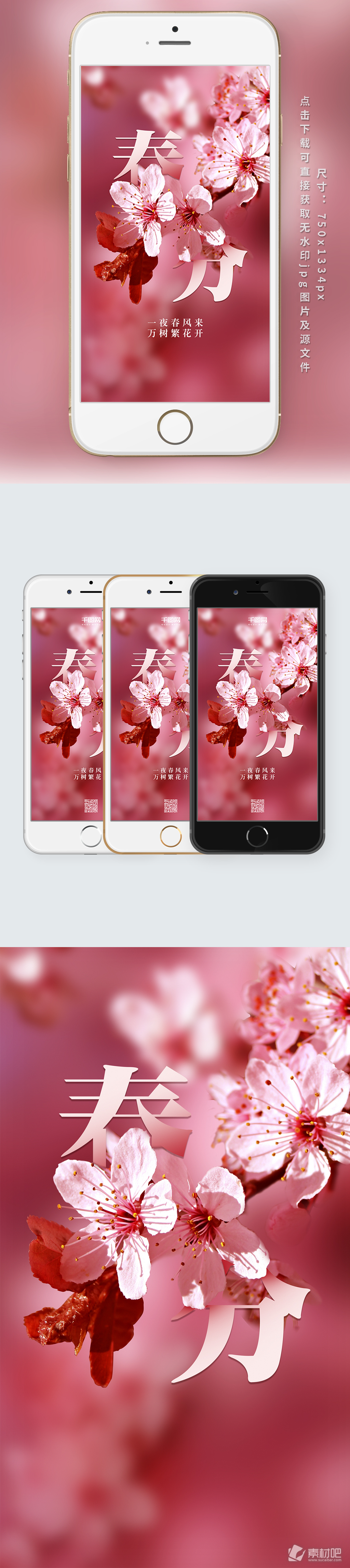 粉色小清新二十四节气春分手机海报