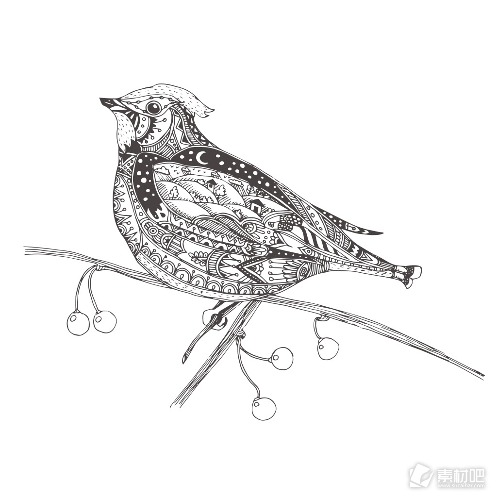 黑白时尚艺术小鸟插画