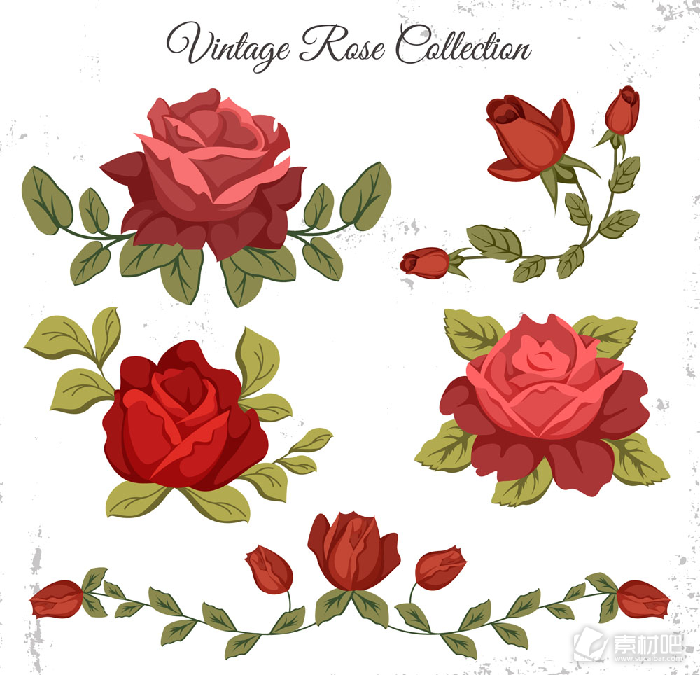 5款复古红色玫瑰花矢量素材