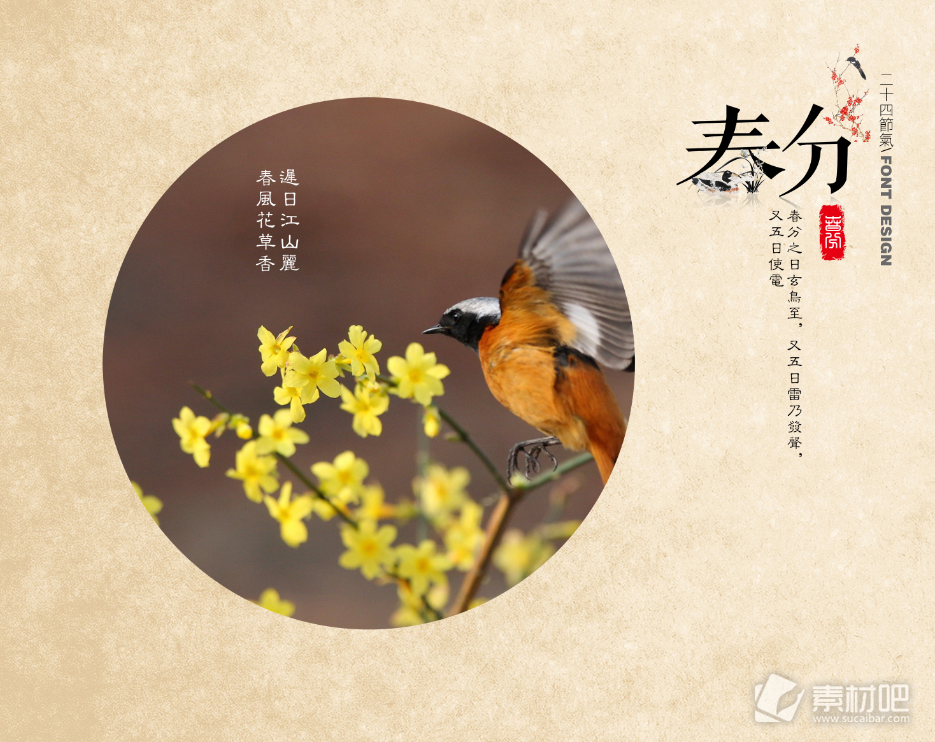 清新写实黄褐色小鸟春分节日元素