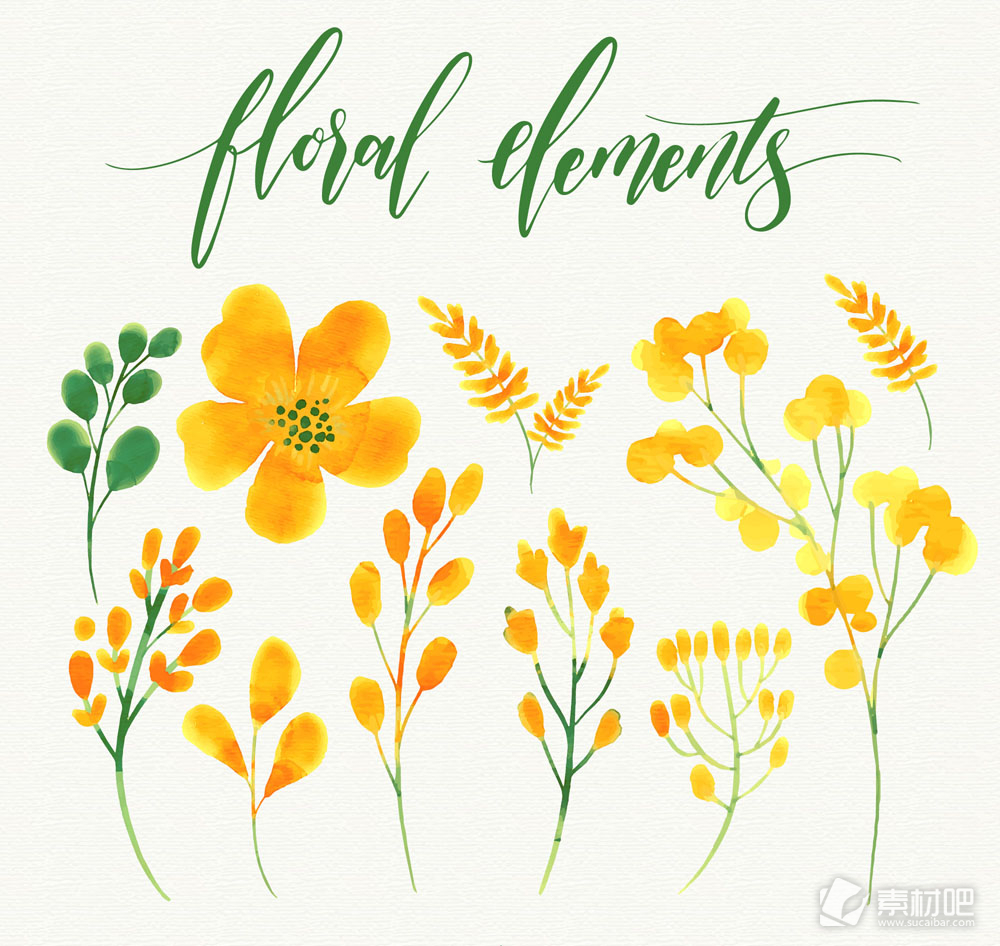 9款水彩绘黄色花卉和叶子矢量图
