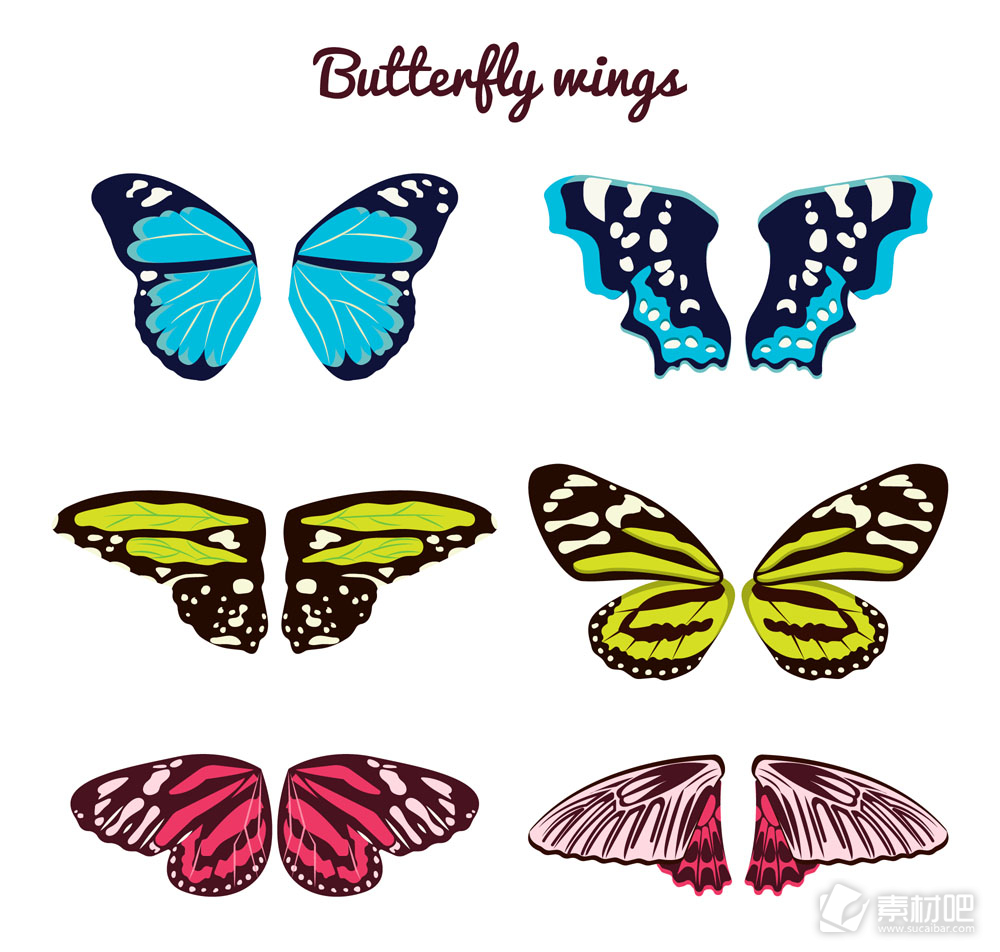 6款彩色花纹蝴蝶翅膀矢量素材