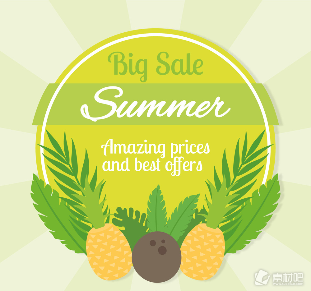 夏季菠萝和椰子装饰促销标签矢量图