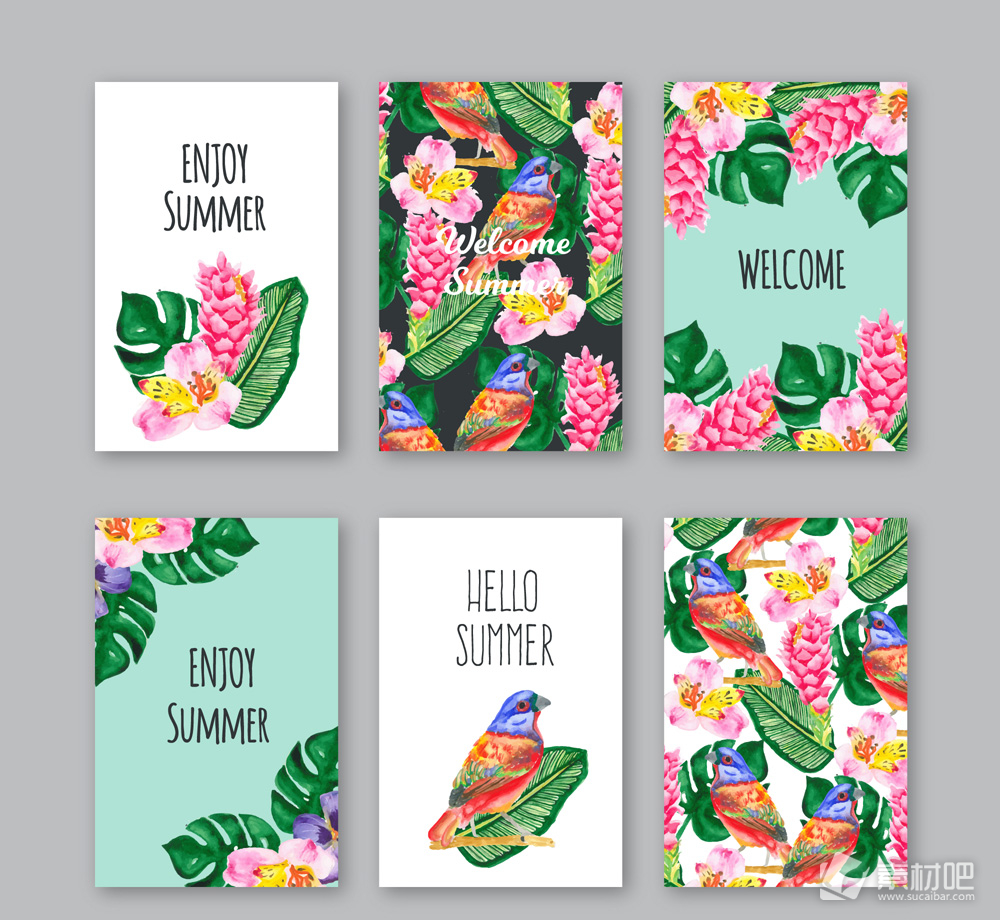 6款彩绘夏季热带花草卡片矢量素材