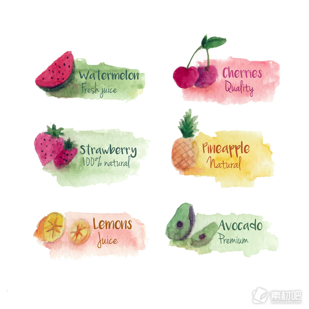 6款水彩绘新鲜水果果汁标签矢量图