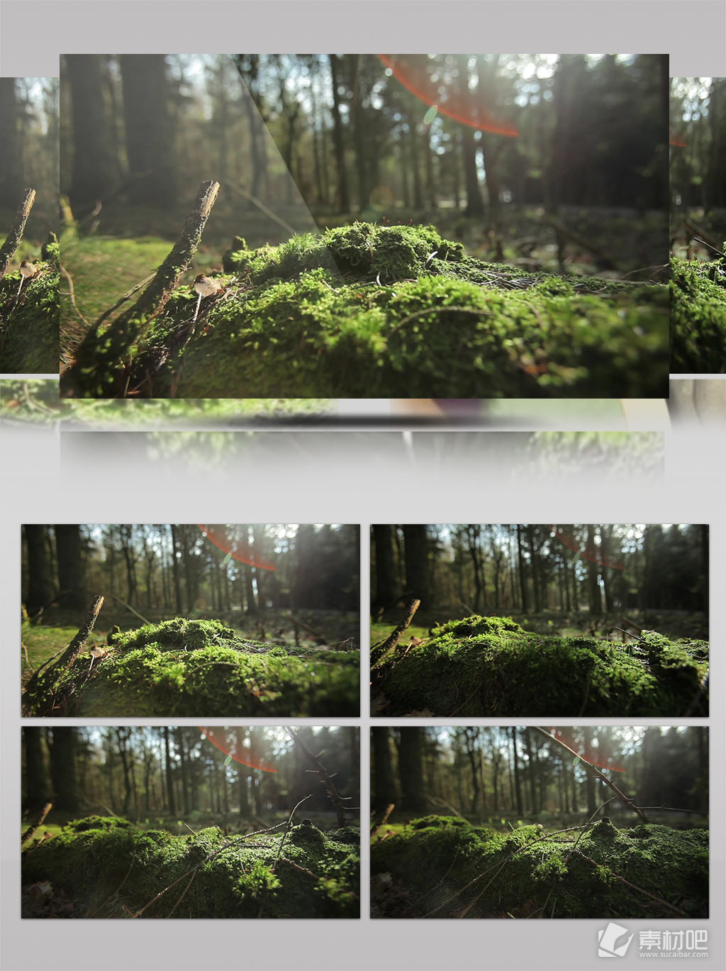 HD阳光洒落森林实拍视频素材