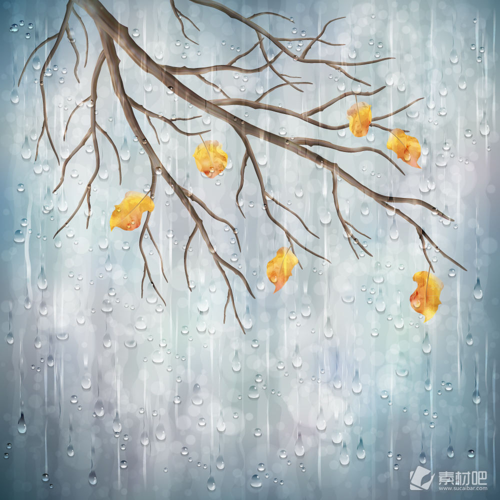 创意雨中的秋季树枝矢量素材