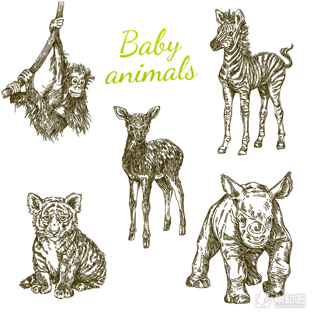 5款手绘幼年野生动物矢量素材