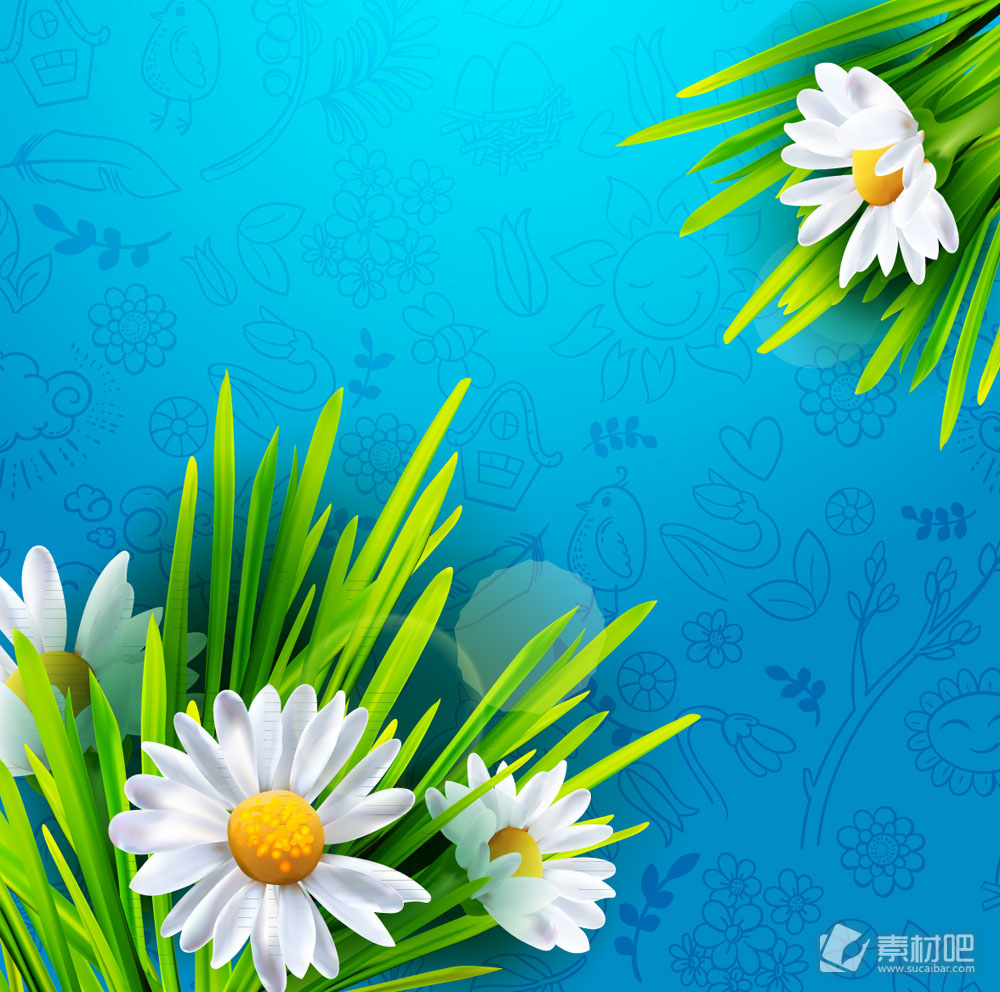 春季白色菊花花束矢量素材