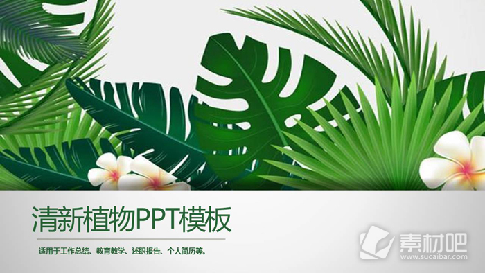 绿色宽叶植物背景PPT模板免费下载