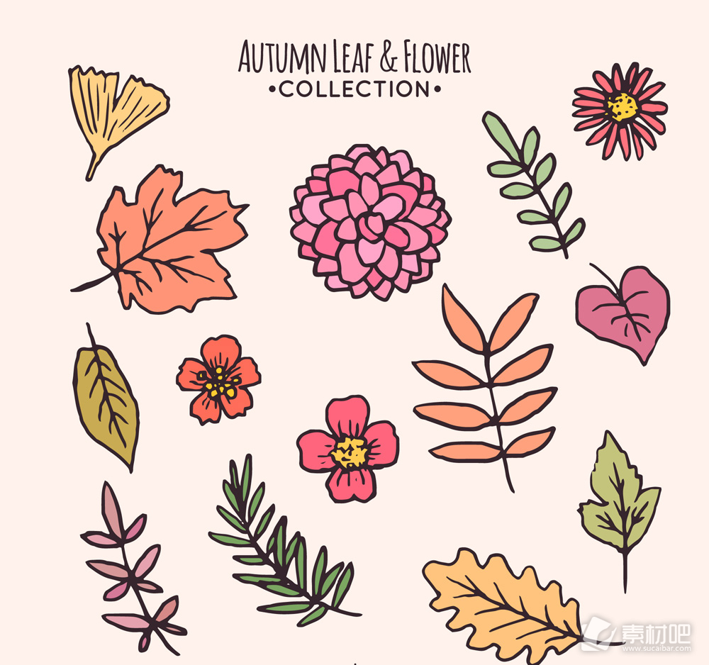 14款彩绘秋季树叶和花卉矢量素材