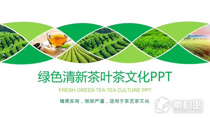 绿色茶园背景的茶文化PPT模板