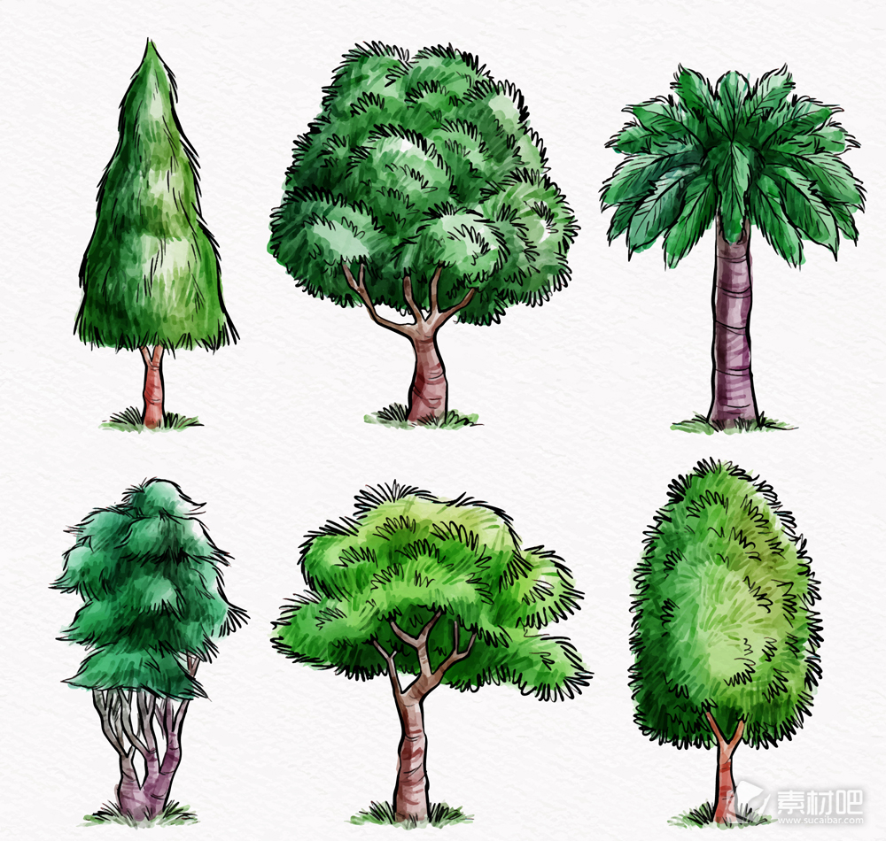 6款彩绘茂盛树木矢量素材