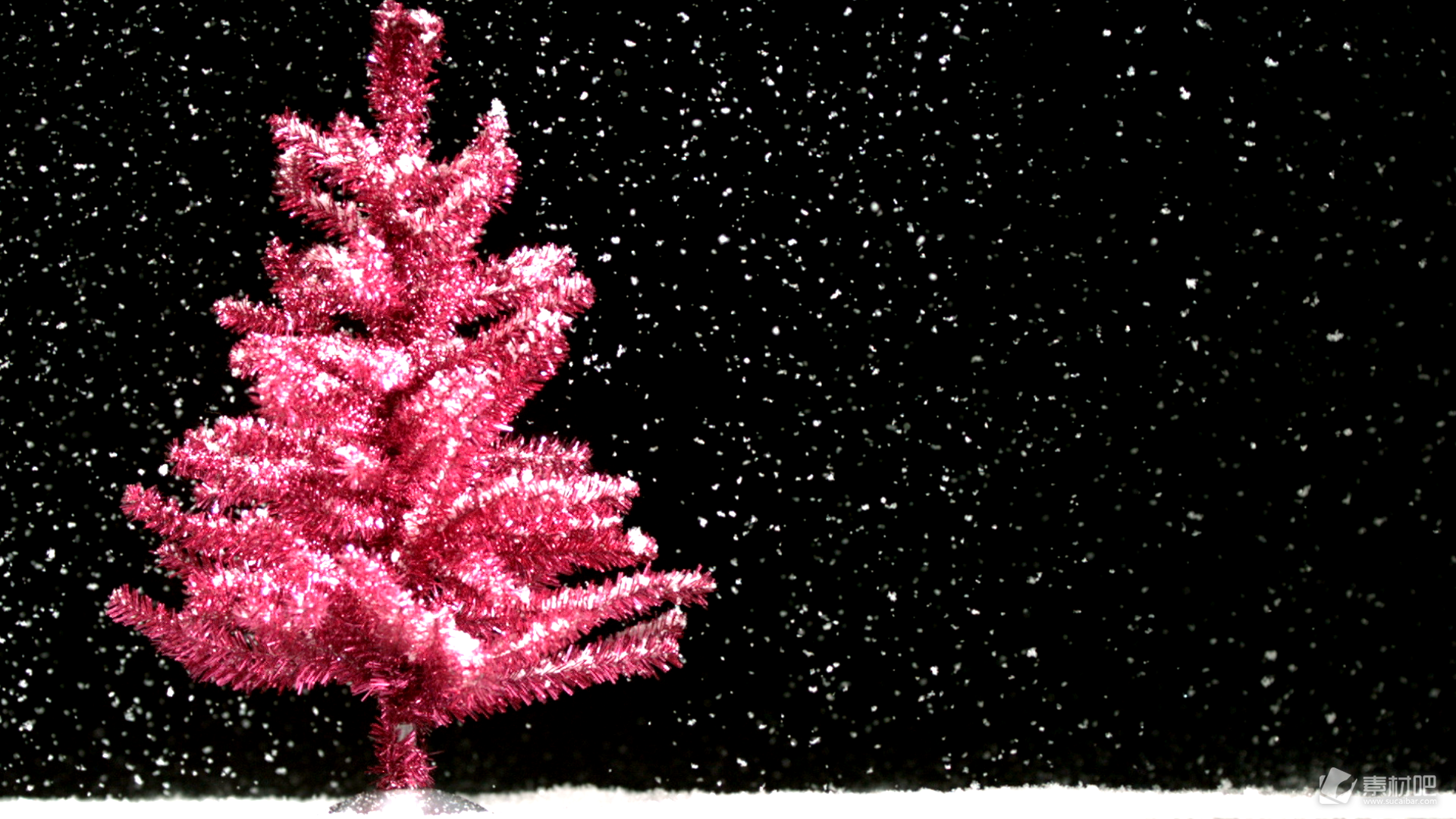 白雪下红色的圣诞树美轮美奂
